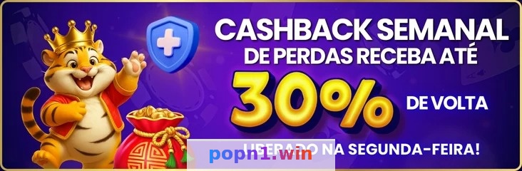 popn1 - Suporte 24/7: Atendimento Rápido e Eficiente 4 Imagem ilustrativa